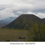 日本免费大片 mc6tczs8p5