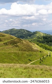 精品视频在线观看免费播放 精品视频在线观看免费播放