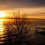 欧美色视频日本高清在线观看 uu0orfzaz