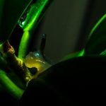 p站视频搬运工:如何高效搬运与分享精彩视频内容 4aq2abq